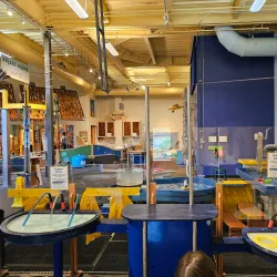 WonderLab Museum of Science, Health & Technology - Bloomington