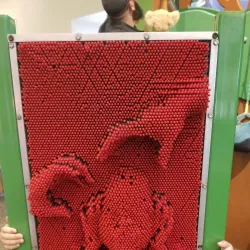 WonderLab Museum of Science, Health & Technology - Bloomington