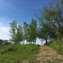 Brownsburg Community Park - Brownsburg