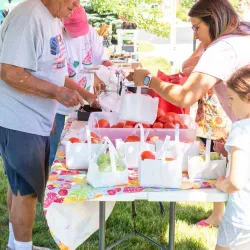 Brownsburg Farmers Market - Brownsburg