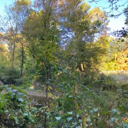 Brownsburg Skate Park - Brownsburg