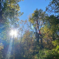 Brownsburg Skate Park - Brownsburg