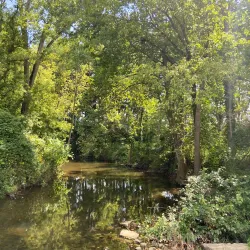 Brownsburg Skate Park - Brownsburg