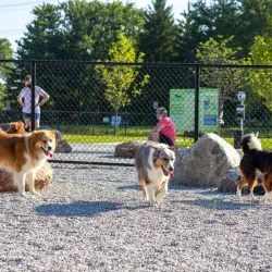 Cardinal Greenway Trail - Brownsburg