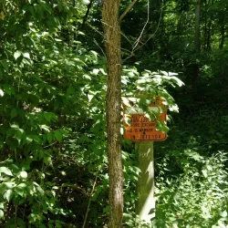 White Lick Creek Park - Brownsburg