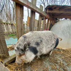 White Lick Creek Park - Brownsburg