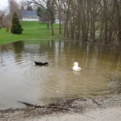 White Lick Creek Park - Brownsburg