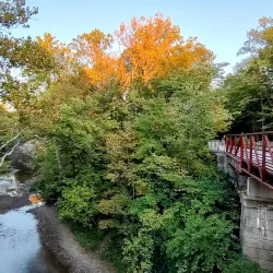 White Lick Creek Park - Brownsburg