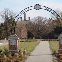Coxhall Gardens - Carmel