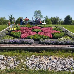 Coxhall Gardens - Carmel