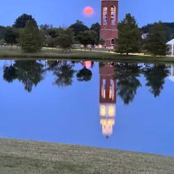 Coxhall Gardens - Carmel