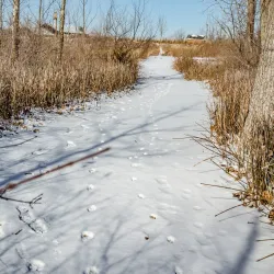 Founders Park - Carmel