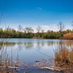 Founders Park - Carmel