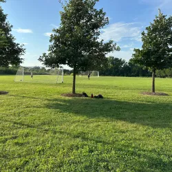 Founders Park - Carmel