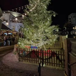 The Center for the Performing Arts - Carmel