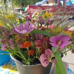 Clarksville Farmers Market - Clarksville