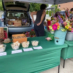 Clarksville Farmers Market - Clarksville