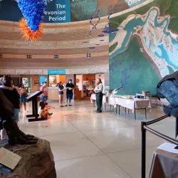 Falls of the Ohio Interpretive Center - Clarksville