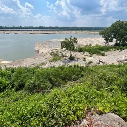 Falls of the Ohio State Park - Clarksville
