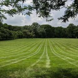 Miller House and Garden - Columbus