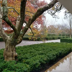 Miller House and Garden - Columbus