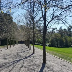 Miller House and Garden - Columbus