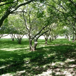 North Christian Church - Columbus