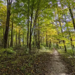 Whitewater Memorial State Park - Connersville