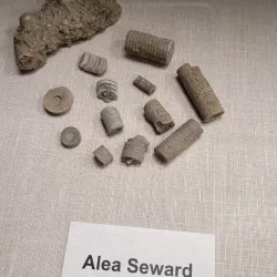 Carnegie Museum of Montgomery County - Crawfordsville