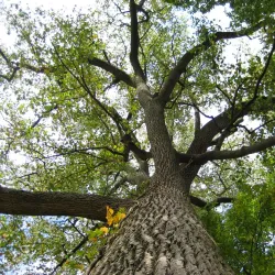 Crawfordsville City Park - Crawfordsville