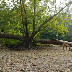 Crawfordsville City Park - Crawfordsville
