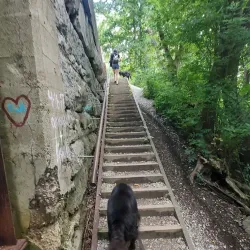 Sugar Creek Covered Bridge - Crawfordsville