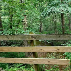 Sugar Creek Covered Bridge - Crawfordsville