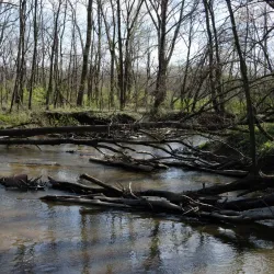 Deep River County Park - Crown Point