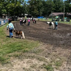 Lake County Fairgrounds - Crown Point