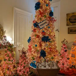 Lincoln-Tallman House - Crown Point