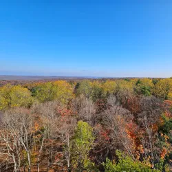 Harrison-Crawford State Forest - Dale