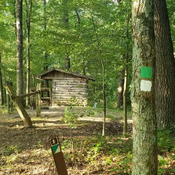 Harrison-Crawford State Forest - Dale