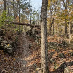 Harrison-Crawford State Forest - Dale