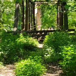 Harrison-Crawford State Forest - Dale