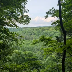 Harrison-Crawford State Forest - Dale