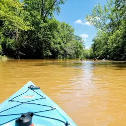Harrison-Crawford State Forest - Dale