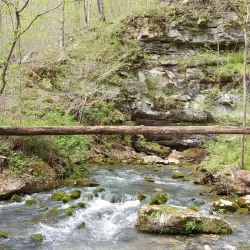 Harrison-Crawford State Forest - Dale