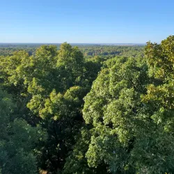 Lincoln State Park - Dale