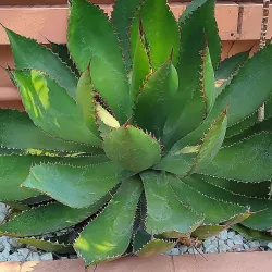 East Chicago Central Park - East Chicago