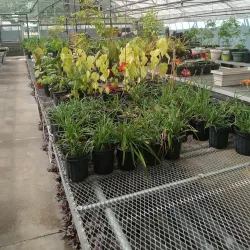 East Chicago Central Park - East Chicago