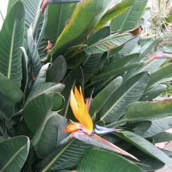 East Chicago Central Park - East Chicago