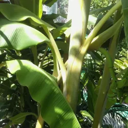 East Chicago Central Park - East Chicago