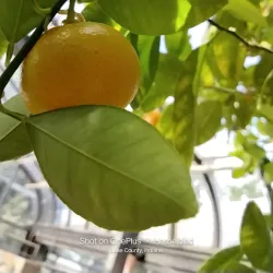 East Chicago Central Park - East Chicago