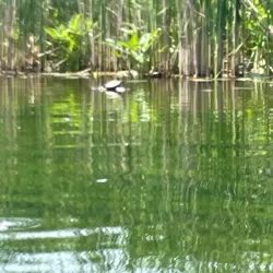 Christiana Creek Nature Preserve - Elkhart